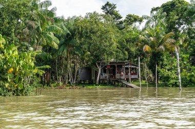 Brezilya 'nın kuzeyinde yer alan Belem do Para' daki Guama Nehri 'nde tekne turu. Amazon ormanlarının oradaki doğal yeşil alan..