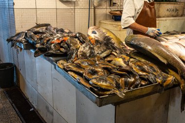Brezilya 'daki Manaus' ta, Feira Manaus Moderna. Piranha, pirarucu ve diğer tipik Amazon balığı satan popüler balık pazarı.
