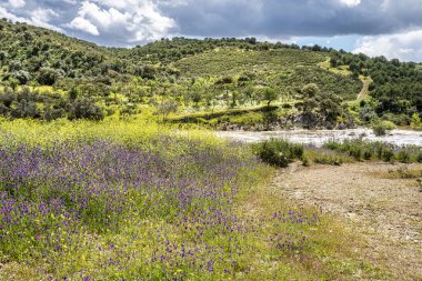 Portekiz, Avrupa 'daki Algarve bölgesinde bulunan Gioes yakınlarındaki Vascao nehri boyunca yürüyüş yapmak.