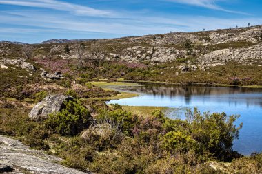 Portekiz 'deki Peneda Geres ulusal parkındaki Penameda Tepesi' nin tepesinde güzel bir göl. Pantano da Peneda