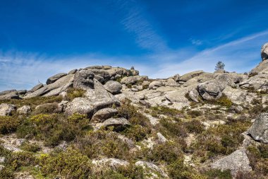 Portekiz 'deki Peneda Geres ulusal parkında Penameda Tepesi' nin etrafında yürüyorum. Pantano da Peneda
