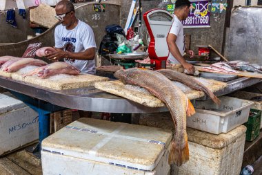 Belem, Brezilya - 12 Aralık 2024: Vero-o-Peso 'da Belem do Para, Brezilya' daki ünlü Halk Pazarı 'nda taze balıklar. Şehrin turist ve kültür merkezi, nehir kenarında..