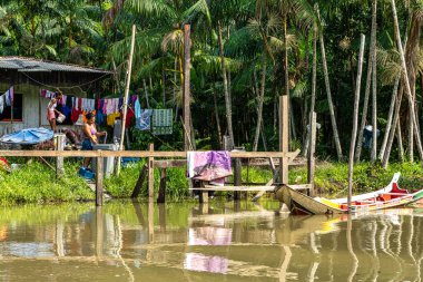 Belem, Brezilya - 13 Aralık 2024: Brezilya 'nın kuzeyinde yer alan Belem do Para' daki Guama Nehri 'nde tekne turu. Amazon ormanlarının oradaki doğal yeşil alan..