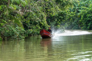 Belem, Brezilya - 13 Aralık 2024: Brezilya 'nın kuzeyinde yer alan Belem do Para' daki Guama Nehri 'nde tekne turu. Amazon ormanlarının oradaki doğal yeşil alan..