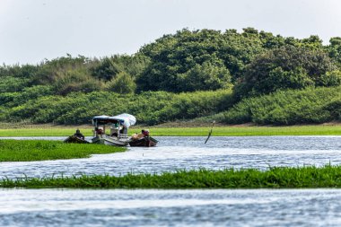 Alter do Chao, Brezilya - 17 Aralık 2024: Alter do Chao, Santarem Bölgesi, Para State, Brezilya 'daki Jari Kanalı' nda başlangıç gezisi. Tapajos Nehri 'nin Jari Kanalı' nın taşkın bölgelerinin doğal manzarası.