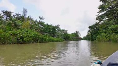 Brezilya 'nın kuzeyinde yer alan Belem do Para' daki Guama Nehri 'nde tekne turu. Amazon ormanlarının oradaki doğal yeşil alan..