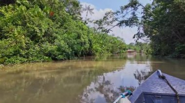 Brezilya 'nın kuzeyinde yer alan Belem do Para' daki Guama Nehri 'nde tekne turu. Amazon ormanlarının oradaki doğal yeşil alan..