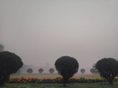 Mymensingh 'deki demiryolu hattı yeşili.