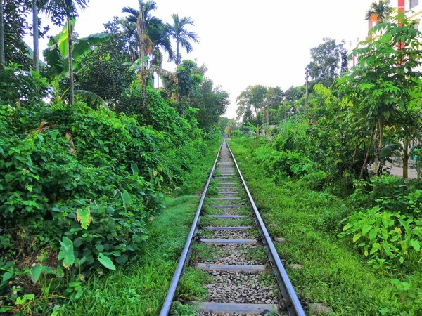 Verdure Ligne Chemin Fer Mymensingh — Photo