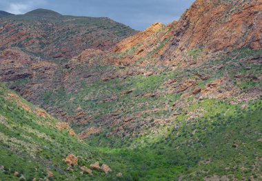 Güney Afrika Oudtshoorn yakınlarındaki Cango Mağaraları Dağları