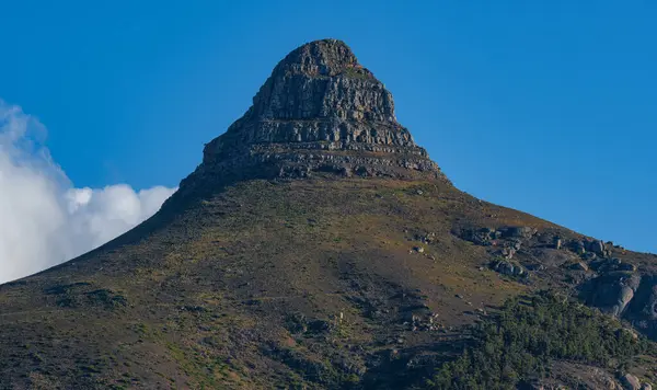 Löwenkopf Der Südatlantikküste Der Nähe Von Kapstadt Südafrika — Stockfoto
