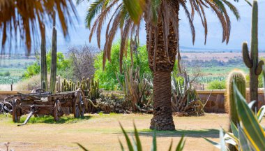Oudtshoorn Güney Afrika yakınlarında yarı çöl manzarası ve dağlar
