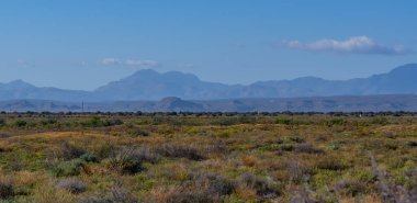 Oudtshoorn Güney Afrika yakınlarında yarı çöl manzarası ve dağlar