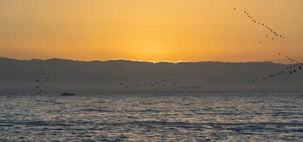 Puesta Sol Paseo Marítimo Ciudad Del Cabo Costa Atlántica — Foto de Stock