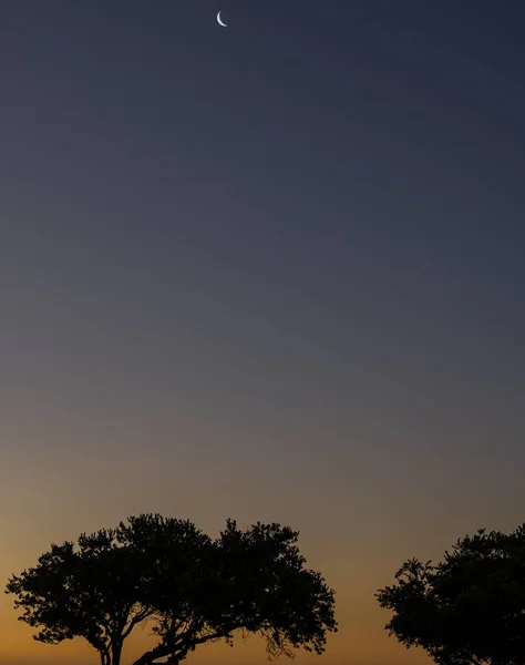 大西洋のケープタウンのプロムナードでの夕日 — ストック写真