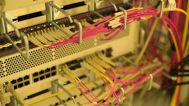 用Rj45和数据中心网络交换机上的光纤电缆连接器在服务器机架上闪烁彩灯或Led灯的模糊视图 — 图库视频影像