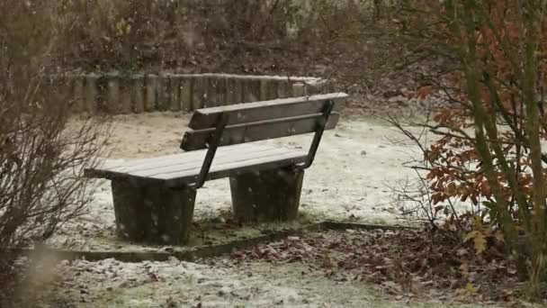 Begin Van Sneeuwbuien Witte Trottoirs Wegen December — Stockvideo