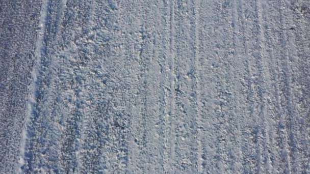 Drone Aerial View Winter Landscape Snow Covered Farmland Animal Tracks — Vídeos de Stock