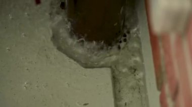 Overflowing drainage downpipe and overfilled infiltration shaft during a severe storm rainstorm