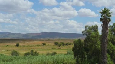 Oudtshoorn Güney Afrika yakınlarında yarı çöl manzarası ve dağlar