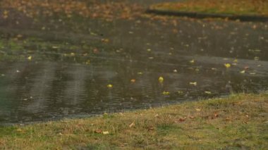 Severe storm Rain showers and running rainwater