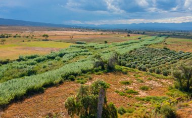 Oudtshoorn Güney Afrika yakınlarında yarı çöl manzarası ve dağlar