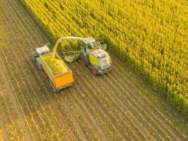 Hamburg, Almanya - 11 Ekim 2022: Claas Jaguar 960 mısır helikopteri ve FENDT 930 Vario traktörü Veenhuis Super Silagewagon ile mısır hasadı sırasında