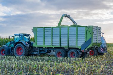 Tractor and corn chopper during corn harvest