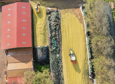 Mısır hasadı sırasında traktör ve Kazıcı mısır tarlasında