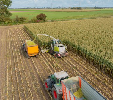 Tractor and corn chopper during corn harvest clipart