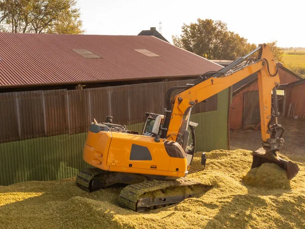 Excavator Distributes Corn Corn Silage Corn Harvest — Fotografia de Stock