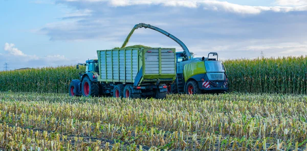 Tractor Corn Chopper Corn Harvest — Stok Foto