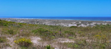 Güney Atlantik kıyısında Cape Town Güney Afrika