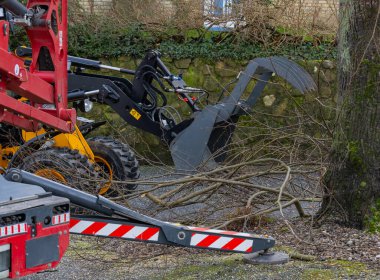 Ağaç işi ve ağaçlar hastalıklı bir ağaçta devrildi.
