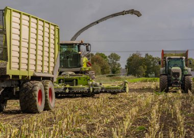 Hamburg, Almanya - 11 Ekim 2023: Claas Jaguar mısır helikopteri ve FENDT Vario traktörü Veenhuis Super Silagewagon ile mısır hasadı sırasında