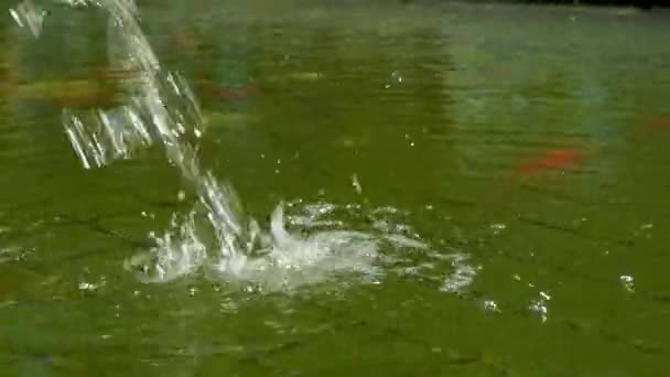 コイカープ池でのウォータージェット — ストック動画