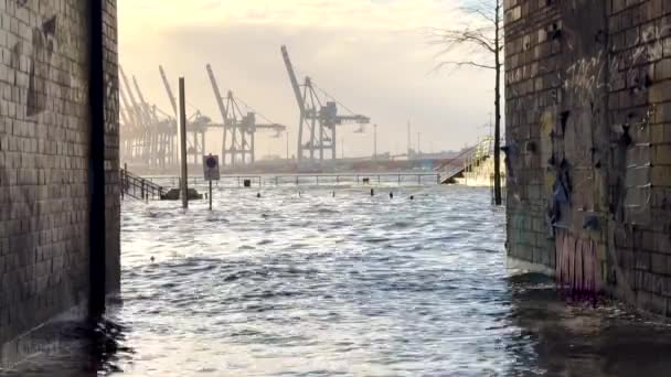 Stormflod Och Elbe Översvämning Hamburgs Hamn Pauli Fiskmarknad Fiskauktionshallen — Stockvideo