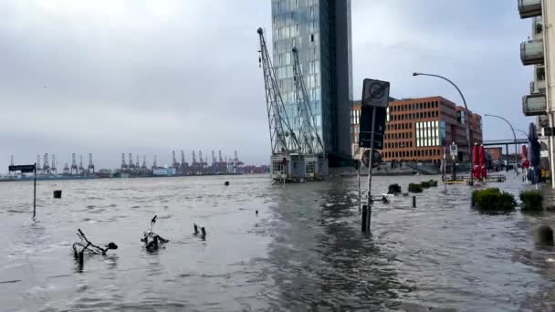 Stormbølge Elbeflom Ved Hamburg Havn Pauli Fiskemarked Auksjonshall – stockvideo