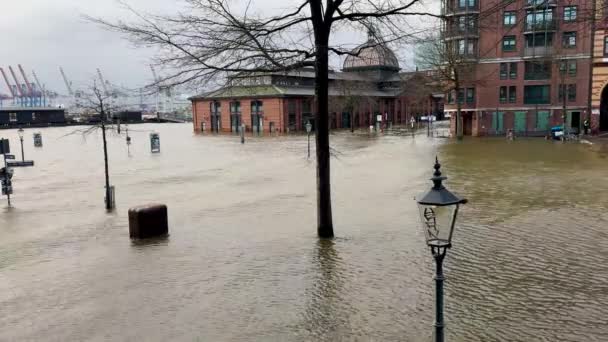 Stormflod Och Elbe Översvämning Hamburgs Hamn Pauli Fiskmarknad Fiskauktionshallen — Stockvideo
