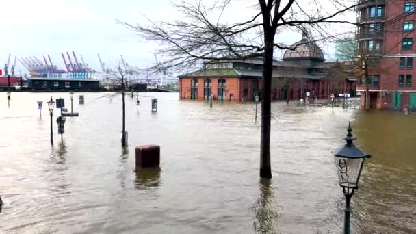 ハンブルクの港で嵐のサージとエルベ洪水 パウリ魚市場魚オークションホール — ストック動画