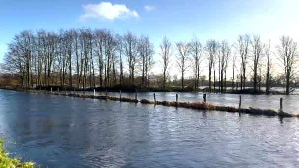 Floodplain Buurt Van Pinneberg Meadows Zijn Onder Water Van Constante — Stockvideo