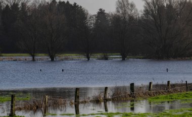 Pinneberg Çayırı yakınlarındaki sel ovaları sürekli yağmur nedeniyle sular altındadır.