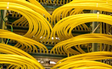 Sarı RJ45 bakır kablo - Veri merkezinde bir ağ dağıtım rafında ağ kablosu