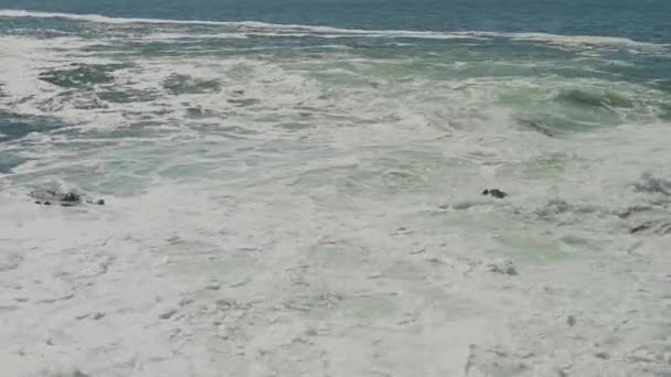Pantai Atlantik Selatan Dekat Cape Town Afrika Selatan — Stok Video