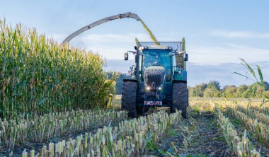 Tractor and corn chopper during corn harvest