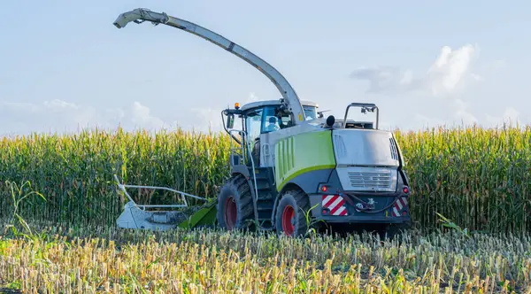 Mısır tarlası mısır helikopteri tarafından hasat edilir.