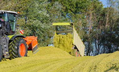 Ekim 'deki mısır hasadı sırasında tarım makineleri