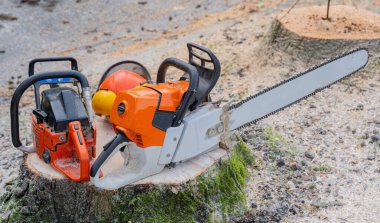 Elektrikli testere ve güvenlik kaskı ağaç kesildikten sonra kütüğün üzerinde duruyor.