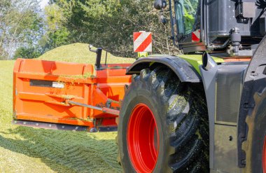 Mısır hasadı sırasında mısır tarlasında traktör.