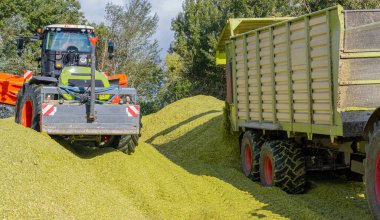 Hamburg, Almanya - 11 Ekim 2023: Mısır hasadı sırasında traktör CLAAS Xerion 5000 TRAC